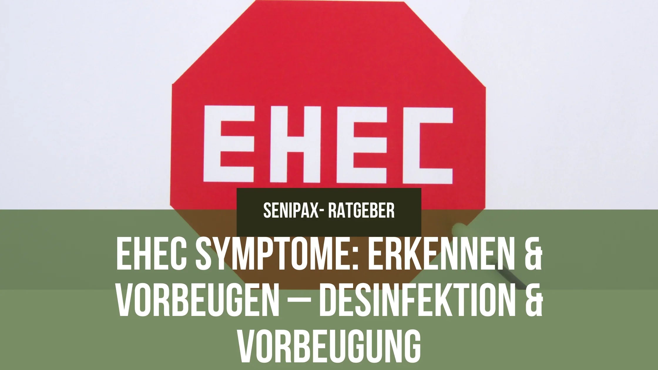 EHEC Symptome: erkennen &amp; vorbeugen – Desinfektion &amp; Vorbeugung