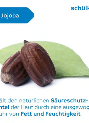Jojobasamen und grünes Blatt, Symbol für natürliche Hautpflege und Feuchtigkeitsbalance, Hygieneprodukt