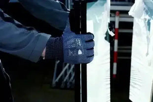 Hand mit blauer Schnittschutzhandschuh hält Glasscheibe, Arbeitsschutz, Sicherheitshandschuh