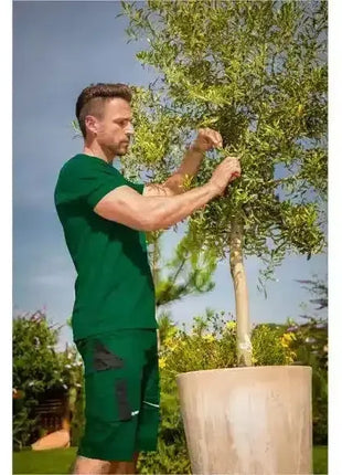 Mann in grüner Arbeitskleidung pflegt Baum im großen Blumentopf im Garten bei Sonnenschein