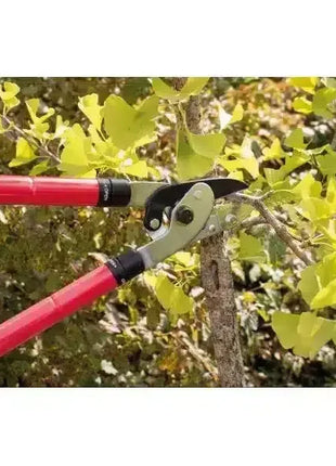 Astschere mit roten Griffen schneidet Baumzweig im Garten, robuste Gartenschere für präzisen Schnitt