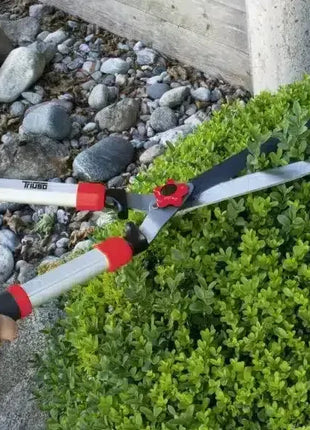 Heckenschere mit roten Griffen trimmt grünen Busch im Garten, Nahaufnahme, Gartengerät