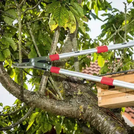 Teleskop-Amboss-Astschere