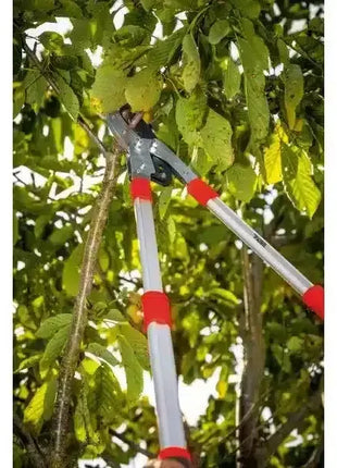 Astschere mit roten Griffen schneidet Äste im Garten, Baumpflege Werkzeug, Nahaufnahme