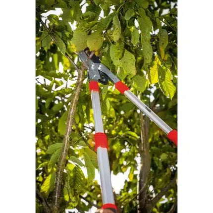 Teleskop-Amboss-Astschere