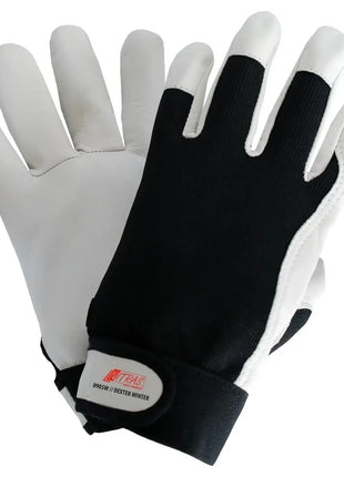 NITRAS DEXTER WINTER Mechanikerhandschuhe (8905W)