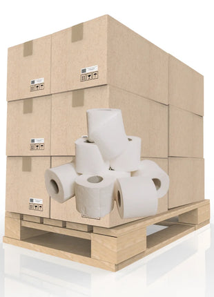 Toilettenpapier 2-lagig weiß 250 Blatt | 2.112 Rollen Palette